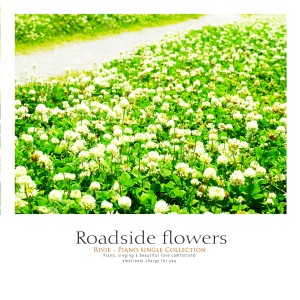 Flowers on the roadside