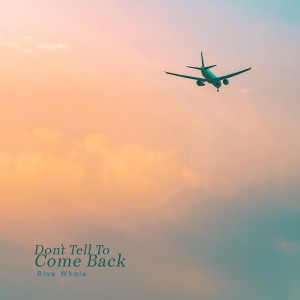 Album Don`t Tell to Come Back from Blue Whale
