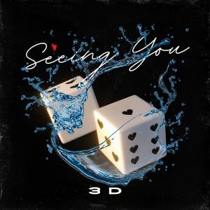 Seeing You (Explicit)