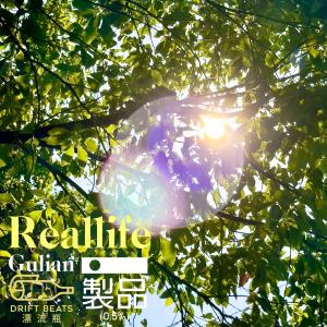 Listen to Reallife song with lyrics from Gulian