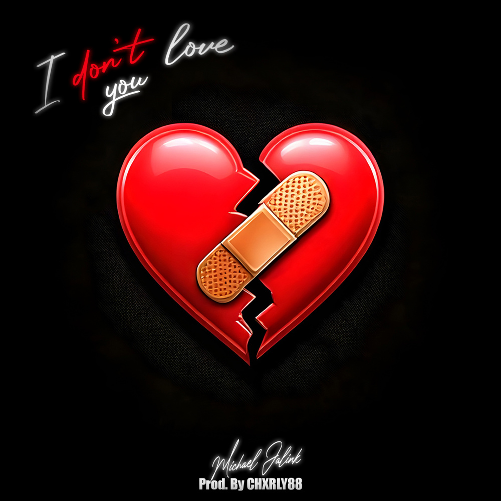 I Dont Love You (Explicit)