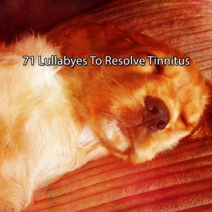Album 71 Lullabyes To Resolve Tinnitus from 