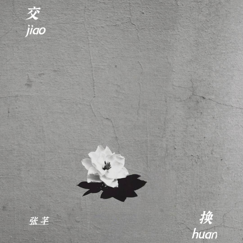 张芊