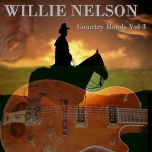 收聽Willie Nelson的Heartbreak Hotel歌詞歌曲
