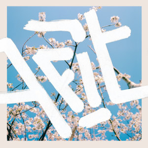 收听Afit的Little Things歌词歌曲