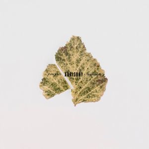Listen to скамейки (Explicit) song with lyrics from Sonleaf