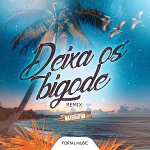 Mateositoo的专辑Deixa os Bigode (Remix)