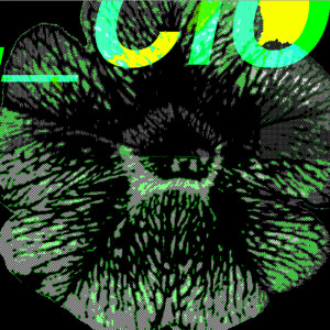 收聽L_cio的Breaking歌詞歌曲