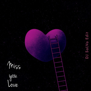 Album Miss You Love (DJ SaLVa Edit) [Explicit] from Dj Salva