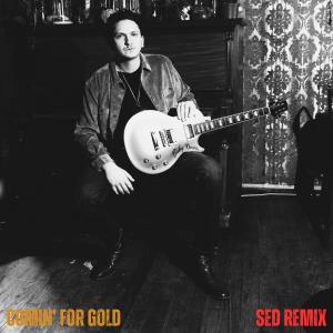 收聽Liam Davis的Comin' For Gold (Sed Remix)歌詞歌曲