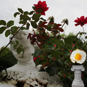 收聽Sonny Side Up的For Closure歌詞歌曲