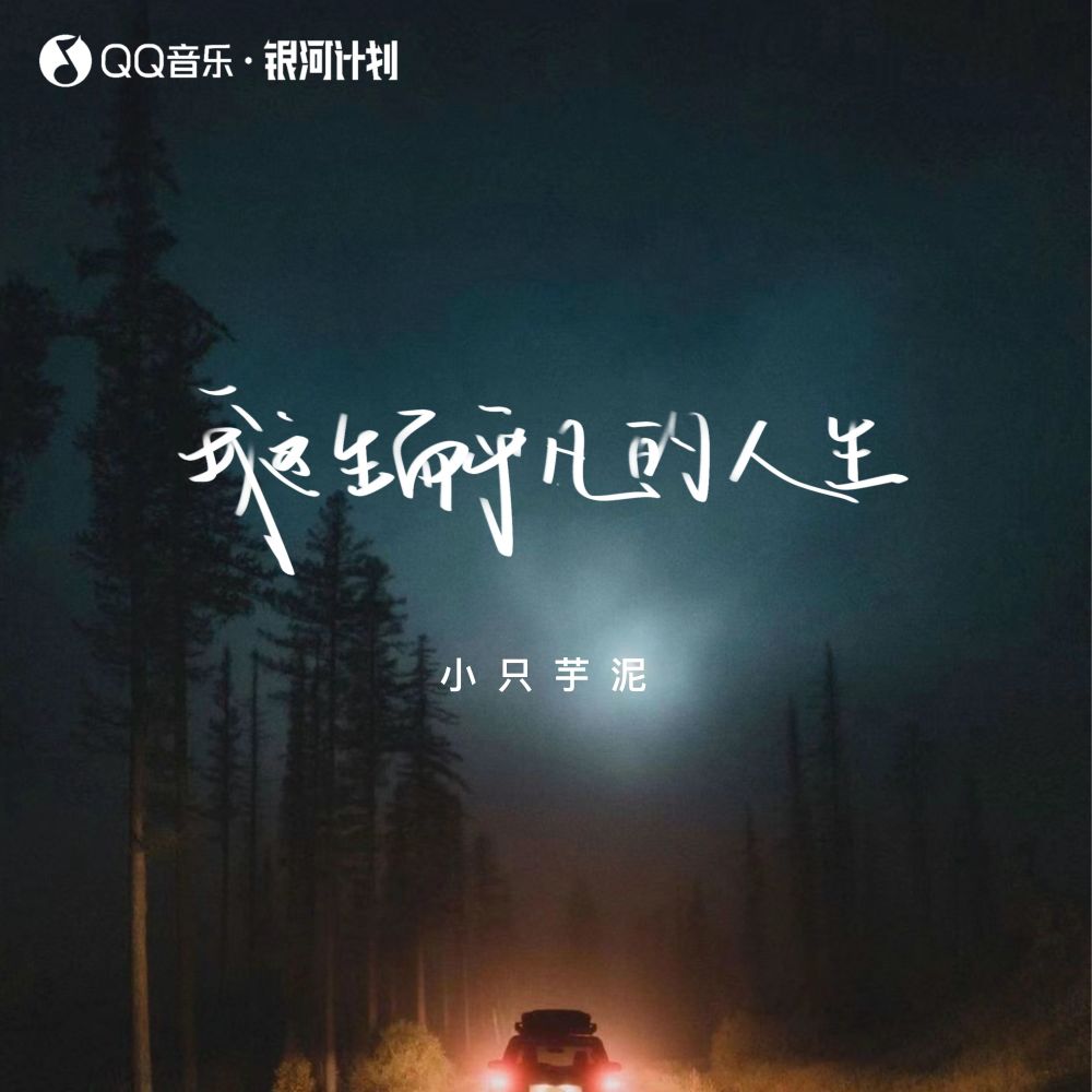 我这生而平凡的人生