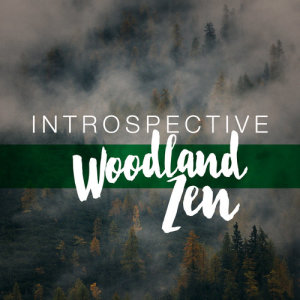 Mediation Sounds of Nature的專輯Introspective Woodland Zen