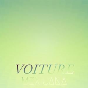 Listen to Voiture Mexicana song with lyrics from Rhena