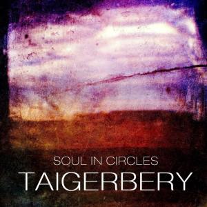 Listen to Soul In Circles song with lyrics from Taigerbery