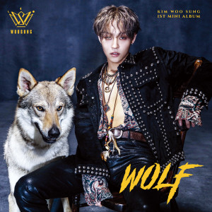 ดาวน์โหลดและฟังเพลง WOLF พร้อมเนื้อเพลงจาก Woosung