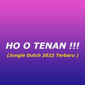 Dengarkan Ho o Tenan !!! (Jungle Dutch 2022 Terbaru ) lagu dari R-Mon dengan lirik