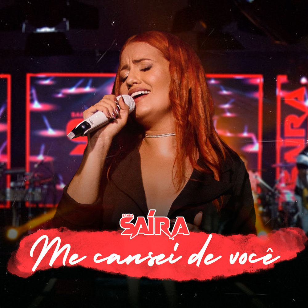 Me Cansei de Você