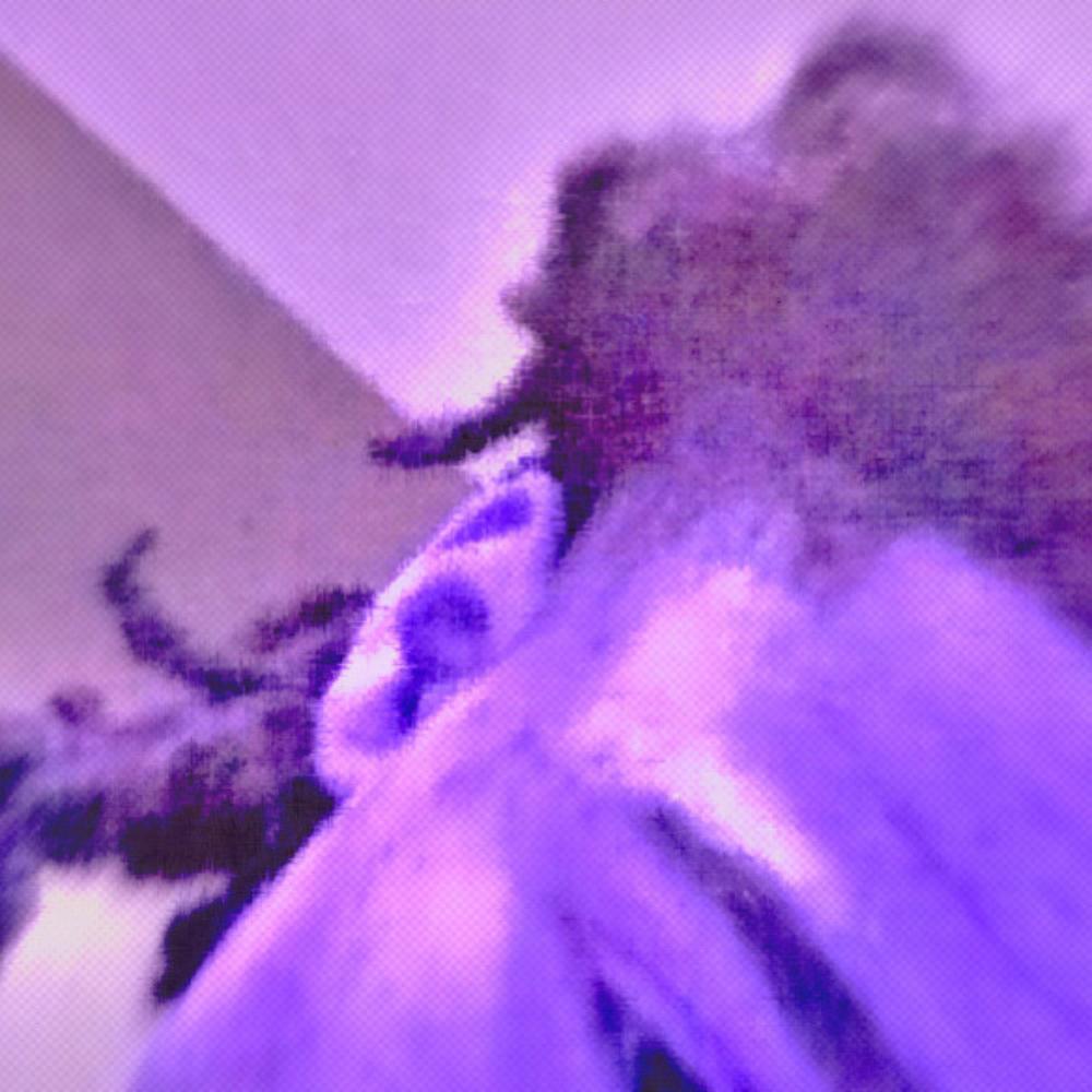 A Lotta Purple! (Explicit)