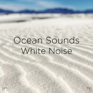 Dengarkan Calming Ocean lagu dari Ocean Sounds dengan lirik