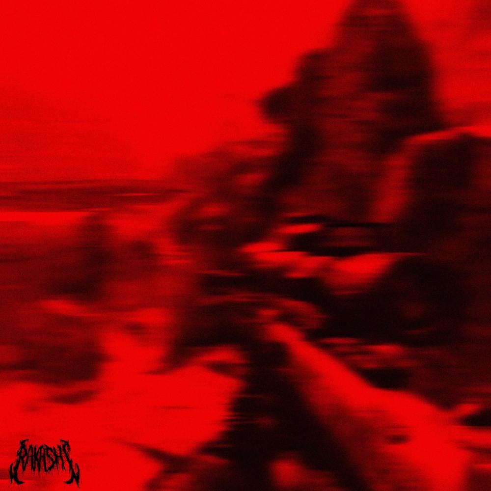 DSR 50 (Explicit)