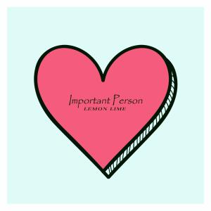 Album Important Person from Korea Various Artists