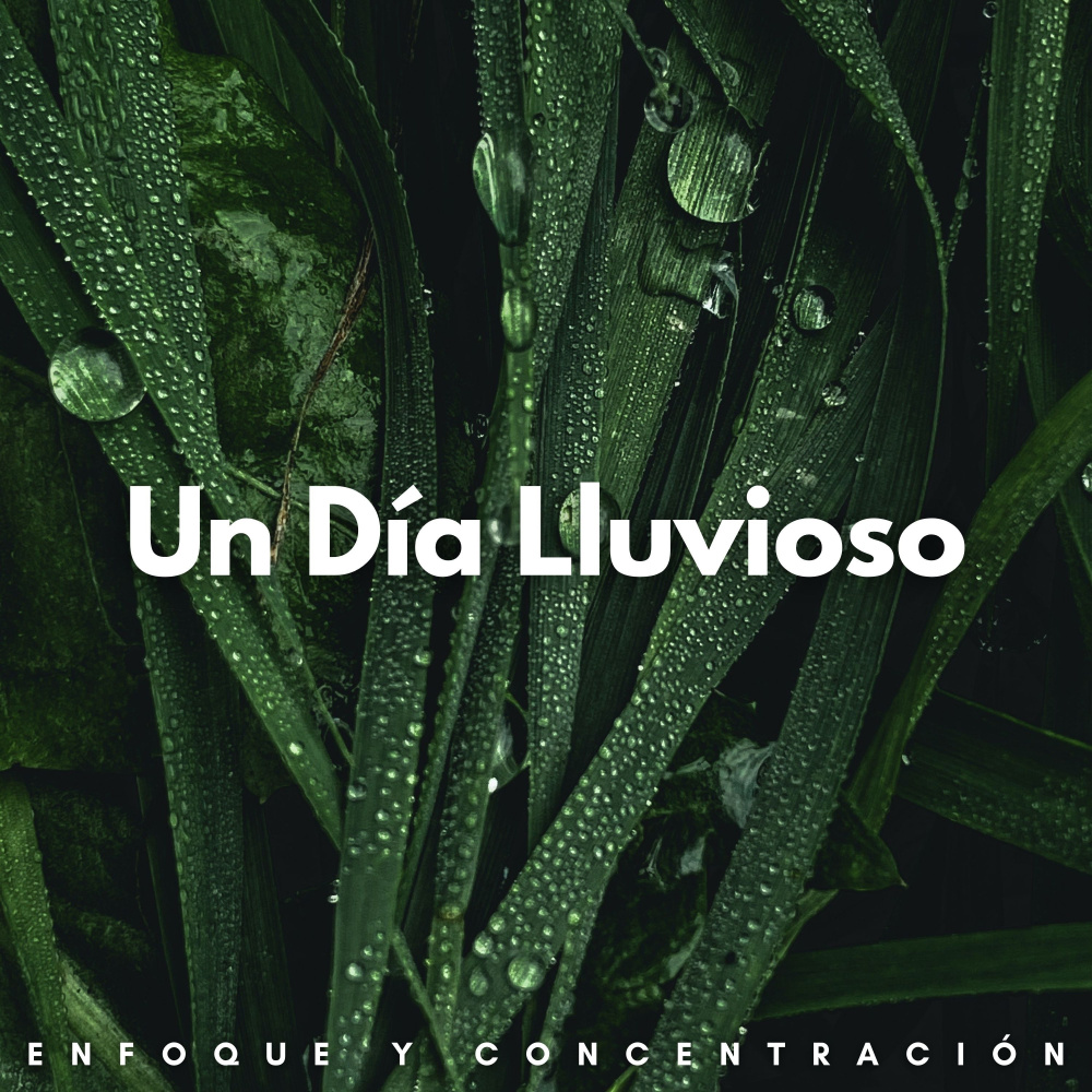 Siempre Lloviendo