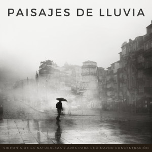 Relajarse lluvia的專輯Paisajes De Lluvia: Sinfonía De La Naturaleza Y Aves Para Una Mayor Concentración