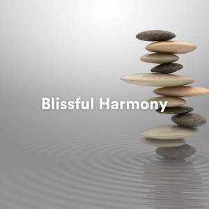 Thai Massage Music的專輯Blissful Harmony