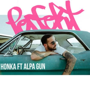 Honka的專輯Perfekt