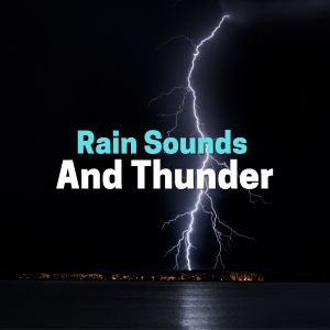 Album Rain Sounds and Thunder from Nature Sound Meditation