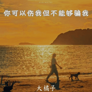 Album 你可以伤我但不能够骗我 from 大橘子