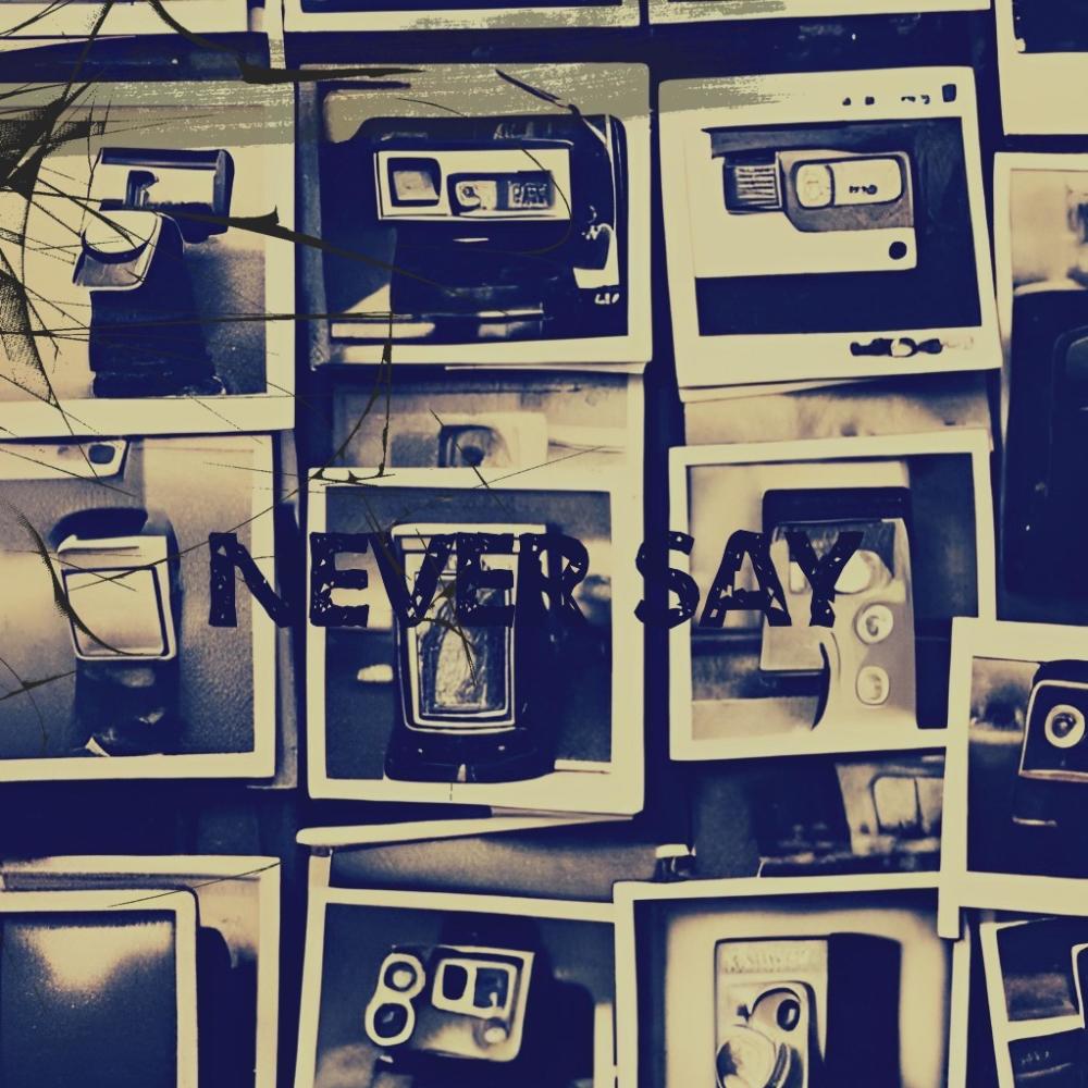 Never Say (Explicit)