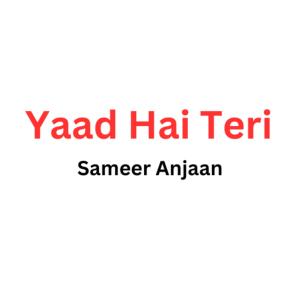 Sameer Anjaan的專輯Yaad Hai Teri
