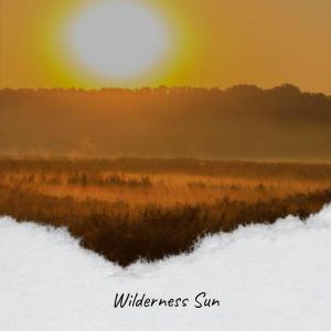 Listen to Wilderness Sun song with lyrics from Viron Foix