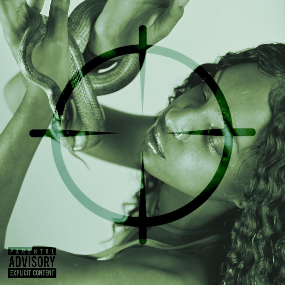 Seek & Destroy (feat. Luv Baski) (Explicit)