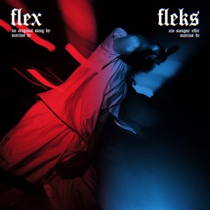 Listen to Flex (Explicit) song with lyrics from Marius DC