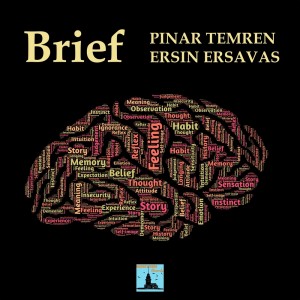 Dengarkan lagu Brief nyanyian Pinar Temren dengan lirik