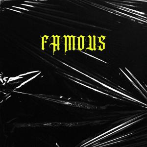 Steez的專輯FAMOUS (feat. Woocitypat & LuizAntoni) (Explicit)