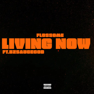 Listen to Living Now (Explicit) song with lyrics from Flossome