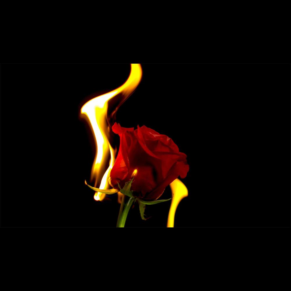 Love The Pain (Special Version) (Explicit)