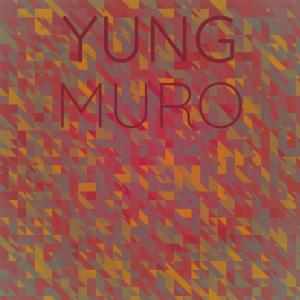 Various Artists的專輯Yung Muro