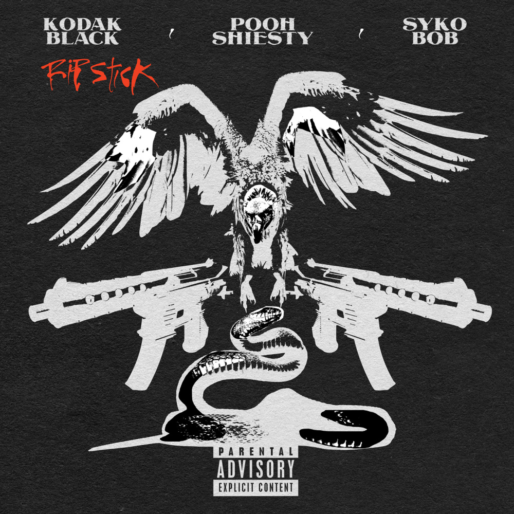 Rip Stick (feat. Pooh Shiesty & Sykobob) (Explicit)