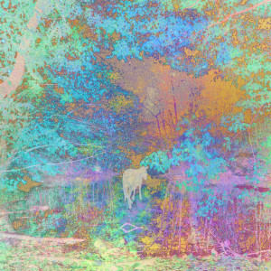 default album img