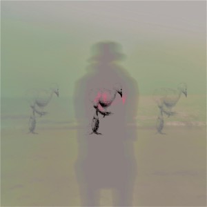 Album Trip Solo (with Claire Hau, Paloalto) from Xeeyon (지용)