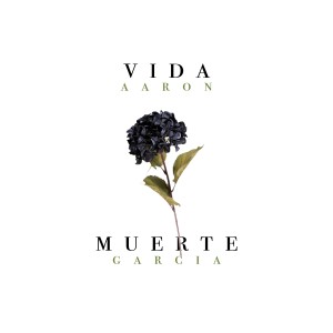 Listen to Vida Y Muerte song with lyrics from Aaron Garcia