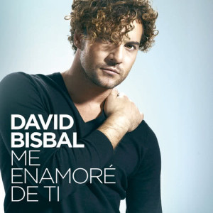 收聽David Bisbal的Me Enamoré De Ti歌詞歌曲