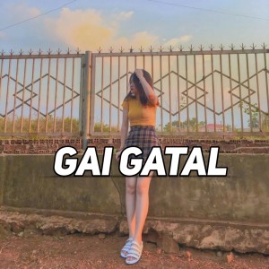 Listen to GAI GATAL song with lyrics from Anderson Maloringan
