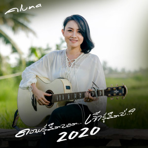 Aluna的专辑ຄວາມຮູ້ສຶກບອກ 2020