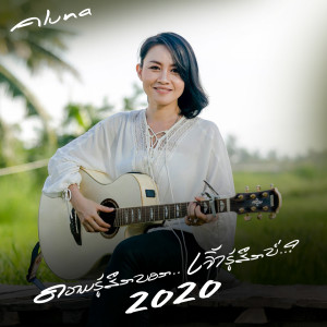 收听ALUNA的ຄວາມຮູ້ສຶກບອກ 2020歌词歌曲